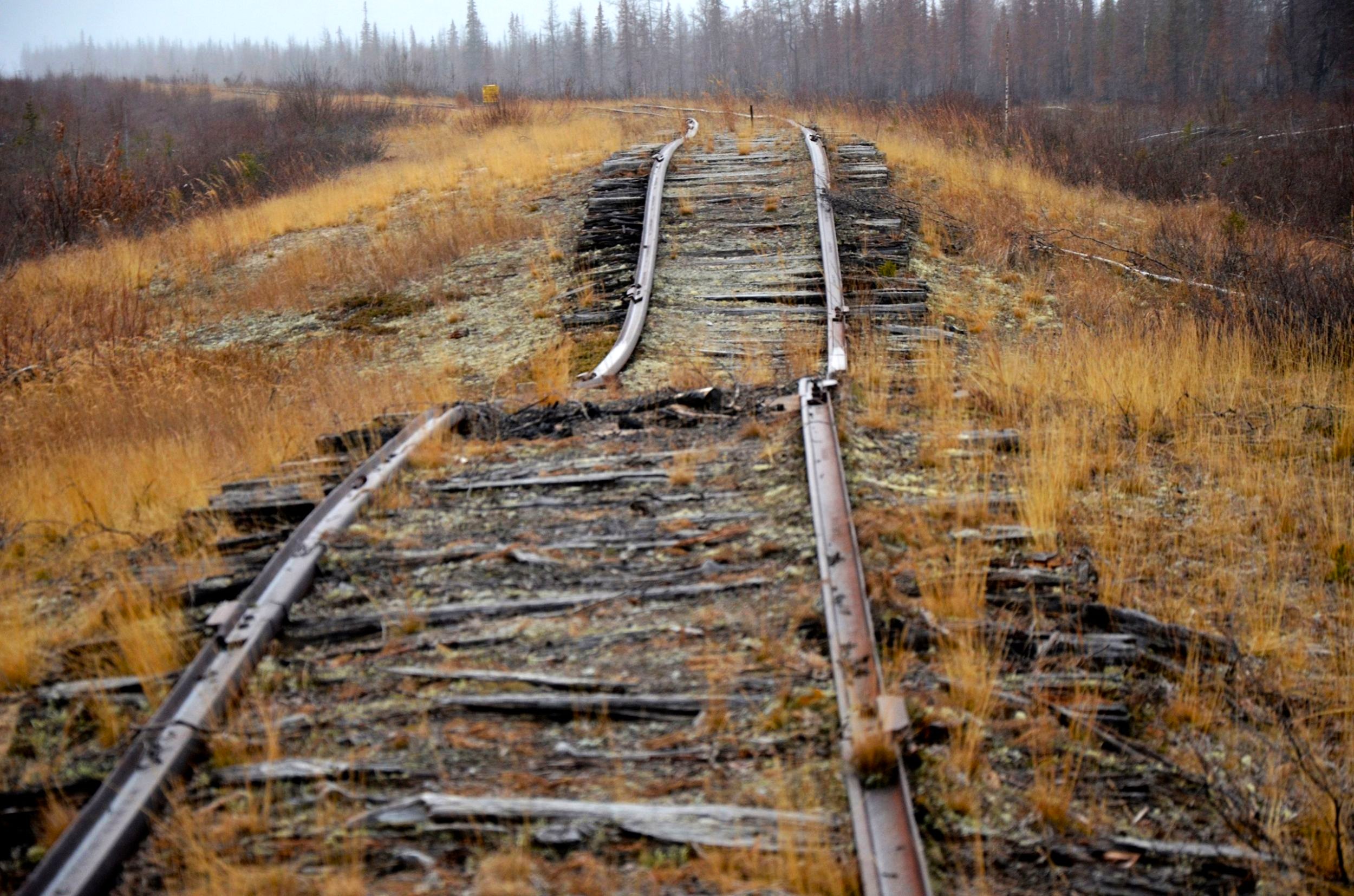 Салехард